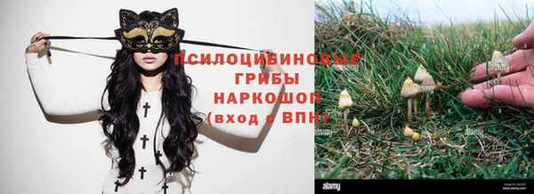 амф Кулебаки