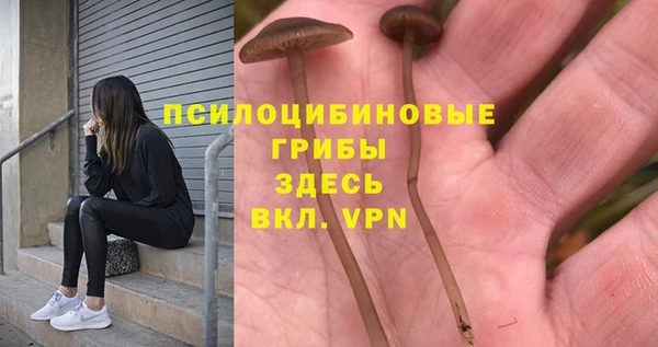 амф Кулебаки