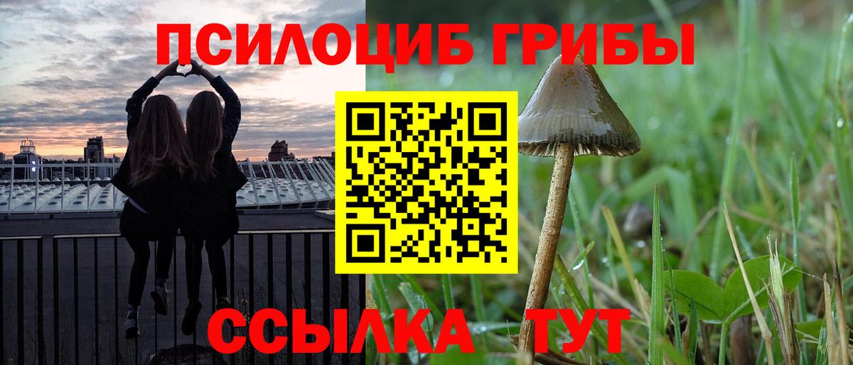 Псилоцибиновые грибы мухоморы Мариинск